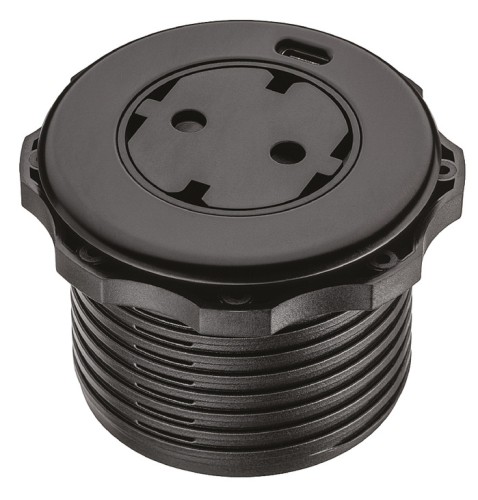ppic-04986746.jpg