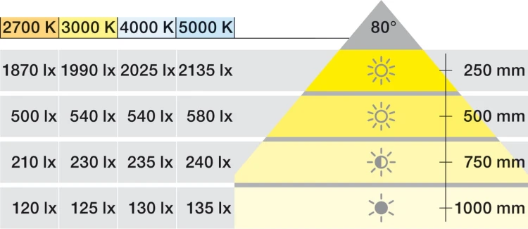 6830.jpg