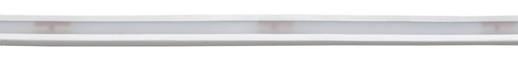 ppic-04786312.jpg