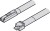 illu-04438984.jpg