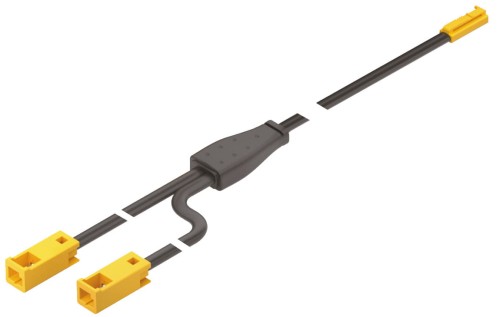 ppic-04526506.jpg