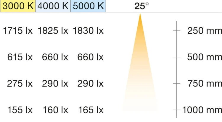 lico-05093904.jpg