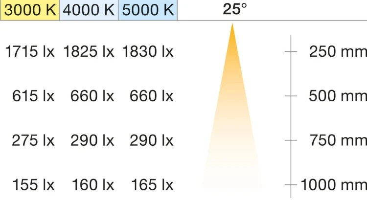 lico-05093903.jpg