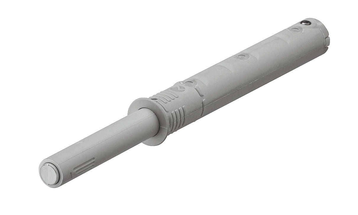 ppic-04675251.jpg